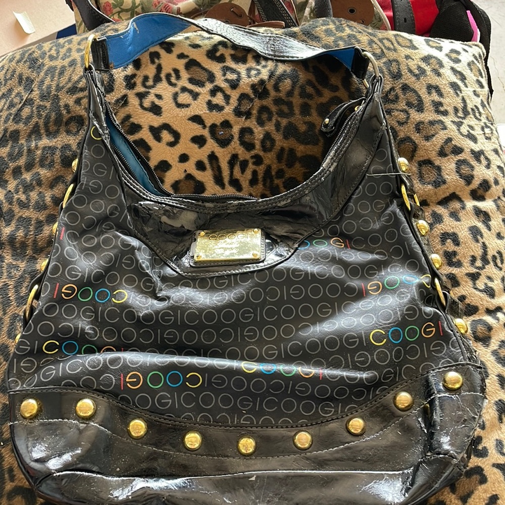 Coogi purse